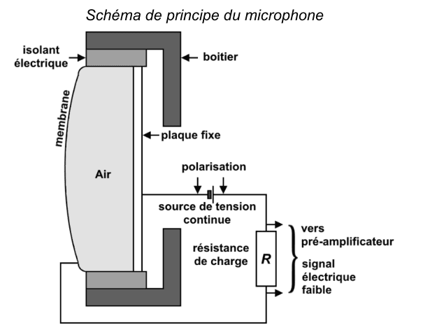 Schéma de principe du microphone, en coupe. Un boîtier sombre entoure une membrane souple placée à gauche, séparée d'une plaque fixe par une lame d'air ; un isolant électrique les maintient en haut. À droite, une source de tension continue notée polarisation et une résistance de charge R sont branchées entre les deux, et deux fils sortent vers le pré-amplificateur en portant le signal électrique faible.