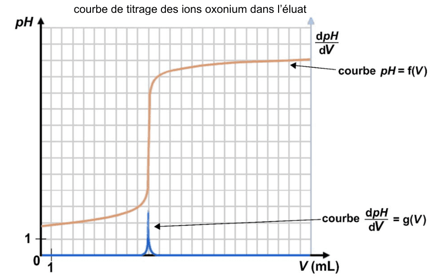 Courbe de titrage des ions oxonium dans l'éluat, tracée sur un quadrillage. En orange, la courbe pH égale f de V part d'une valeur basse, monte lentement, franchit un saut presque vertical, puis s'aplatit. En bleu, la courbe d p H sur d V égale g de V reste plate sauf un pic étroit situé au niveau du saut. L'axe horizontal porte V en millilitres, l'axe vertical le pH. Une graduation notée 1 marque l'unité sur chacun des deux axes, le reste de l'échelle se lisant au quadrillage.