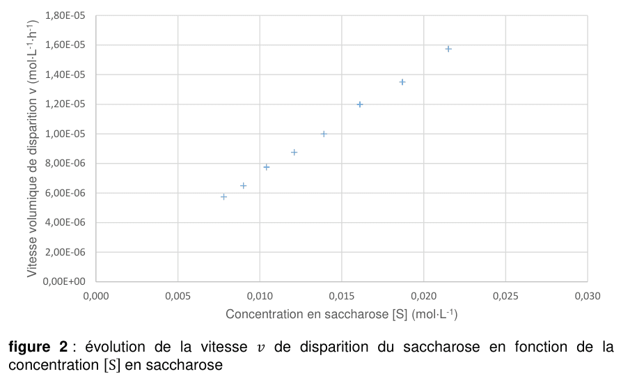 Figure 2 : évolution de la vitesse v de disparition du saccharose en fonction de la concentration [S] en saccharose. En ordonnée, la vitesse volumique en mol·L⁻¹·h⁻¹ de 0 à 1,80×10⁻⁵ ; en abscisse, la concentration en mol·L⁻¹ de 0 à 0,030. Huit points de mesure sont reportés.