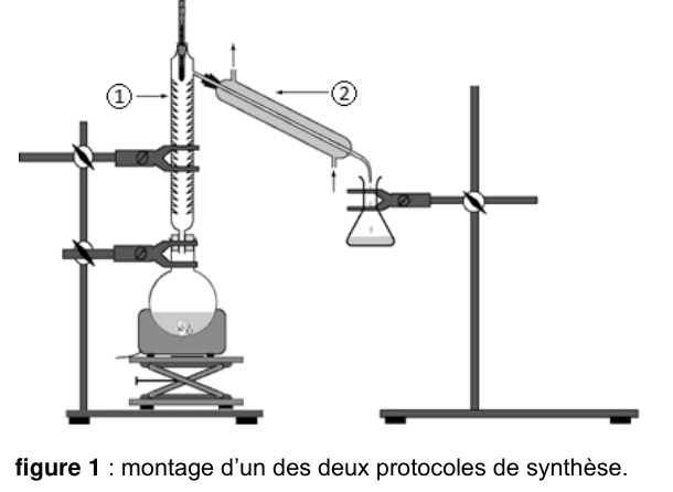 Figure 1 : montage de synthèse monté sur deux potences. Un ballon posé sur un chauffe-ballon relevable surmonte une longue colonne verticale garnie, repérée ①, elle-même surmontée d'un thermomètre. Un tube incliné, repéré ②, part du haut de la colonne vers le bas à droite et débouche dans un erlenmeyer ; deux flèches indiquent la circulation de l'eau dans son enveloppe.