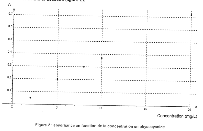 Figure 2, absorbance en fonction de la concentration en phycocyanine. En ordonnée l'absorbance A, graduée de 0 à 0,7 ; en abscisse la concentration en milligrammes par litre, graduée de 0 à 20. Six points sont reportés ; les cinq premiers s'alignent bien, celui de plus faible concentration s'écarte nettement vers le bas.