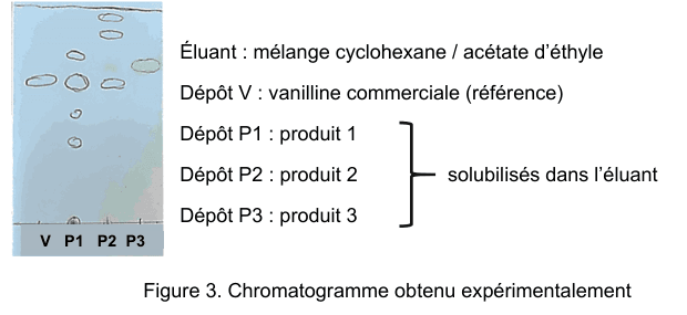 Figure 3 : photographie de la plaque de chromatographie obtenue expérimentalement. Quatre dépôts sont alignés en bas de la plaque et notés V, P1, P2 et P3 ; les taches révélées apparaissent à différentes hauteurs. Une légende précise l'éluant (mélange cyclohexane / acétate d'éthyle), le dépôt V (vanilline commerciale, référence) et les dépôts P1, P2 et P3 (les trois produits du commerce), tous solubilisés dans l'éluant.