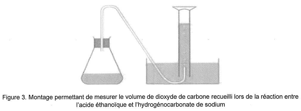 Figure 3 : montage permettant de mesurer le volume de dioxyde de carbone recueilli. Un erlenmeyer bouché est relié par un tube souple à une éprouvette graduée retournée, elle-même plongée dans une cuve remplie d'eau.