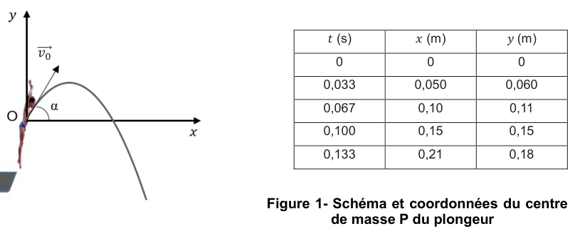 Figure 1 : schéma et coordonnées du centre de masse P du plongeur. À gauche, un repère (O, x, y) : le plongeur est dessiné au point O, le vecteur vitesse initiale v₀ part de O incliné d'un angle α au-dessus de l'horizontale, et une courbe en cloche figure la trajectoire, qui monte puis redescend en passant sous l'axe des abscisses ; un bassin est dessiné en bas. À droite, un tableau à trois colonnes donne, pour t = 0 ; 0,033 ; 0,067 ; 0,100 et 0,133 s, les abscisses x en mètres 0 ; 0,050 ; 0,10 ; 0,15 ; 0,21 et les ordonnées y en mètres 0 ; 0,060 ; 0,11 ; 0,15 ; 0,18.