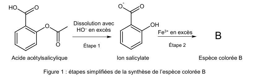 Figure 1 : étapes simplifiées de la synthèse de l'espèce colorée B. À gauche, la formule topologique de l'acide acétylsalicylique : un cycle benzénique portant un groupe HO−C(=O) et un groupe ester. Une flèche légendée « étape 1, dissolution avec HO⁻ en excès » mène à l'ion salicylate, un cycle benzénique portant un carboxylate et un groupe OH. Une seconde flèche, légendée « étape 2, Fe³⁺ en excès », mène à l'espèce colorée B, notée par la seule lettre B.