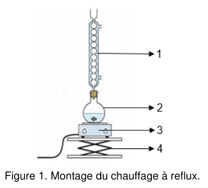 Figure 1 : montage du chauffage à reflux, vu de face. De haut en bas, quatre éléments sont désignés par des flèches numérotées : le repère 1 pointe vers une longue colonne de verre verticale à renflements successifs, parcourue par deux tubulures latérales ; le repère 2 vers le ballon à fond rond placé sous cette colonne, à moitié rempli de liquide ; le repère 3 vers l'appareil plat sur lequel repose le ballon ; le repère 4 vers le support à croisillons placé en dessous.