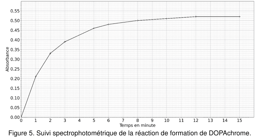 Figure 5 : suivi spectrophotométrique de la réaction de formation de DOPAchrome. En ordonnée, l'absorbance, graduée de 0,00 à 0,55 ; en abscisse, le temps en minutes, gradué de 0 à 15. Les points de mesure, reliés par un trait, partent de l'origine, montent d'abord rapidement, puis leur pente diminue progressivement et la courbe tend vers un palier horizontal en fin d'enregistrement.