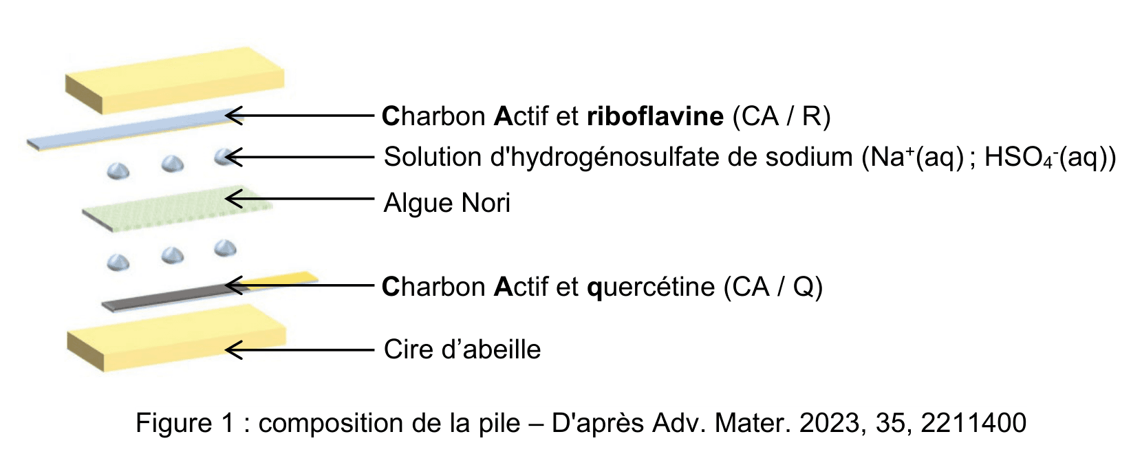 Vue éclatée de cinq couches empilées, reliées chacune par une flèche à son étiquette : charbon actif et riboflavine (CA sur R), solution d'hydrogénosulfate de sodium, algue Nori, charbon actif et quercétine (CA sur Q), cire d'abeille.