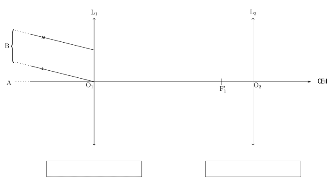Schéma de principe de la lunette afocale, à compléter, qui n'est pas à l'échelle. Un axe optique horizontal se termine à droite par un œil. Deux lentilles convergentes y sont dressées, de centres O1 à gauche et O2 à droite, notées L1 et L2. Le foyer image F prime 1 est marqué sur l'axe entre les deux. À gauche, deux rayons issus d'un objet lointain, dont les extrémités sont notées A sur l'axe et B au-dessus, arrivent sur L1. Sous chaque lentille, un cadre vide attend le terme à écrire.