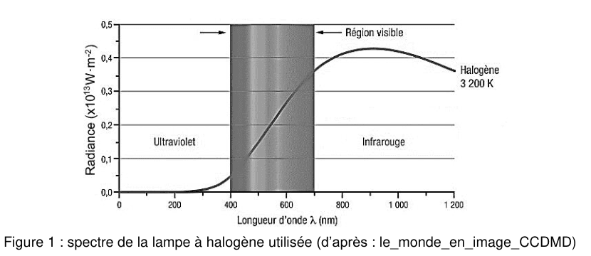 Figure 1 : spectre de la lampe à halogène utilisée. En ordonnée, la radiance en unités de 10¹³ W·m⁻², graduée de 0,0 à 0,5 ; en abscisse, la longueur d'onde λ en nanomètres, graduée de 0 à 1200. Une bande grisée verticale, légendée « région visible », occupe une portion du domaine et sépare une zone légendée « ultraviolet », à gauche, d'une zone légendée « infrarouge », à droite. La courbe, légendée « halogène 3200 K », part de zéro, monte régulièrement à travers la bande grisée, atteint un maximum arrondi dans la zone infrarouge puis redescend lentement. Source : le_monde_en_image_CCDMD.