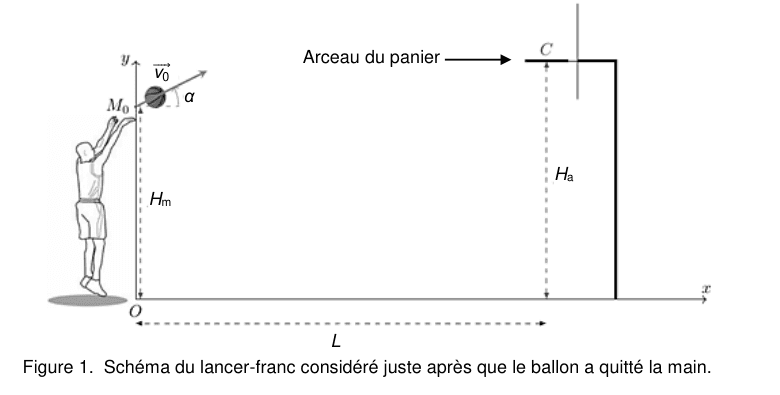 Figure 1 : schéma du lancer-franc juste après que le ballon a quitté la main. Un joueur, bras levés, lâche le ballon au point M indice 0, d'où part un vecteur vitesse v indice 0 faisant un angle alpha avec l'horizontale. La hauteur H indice m est mesurée du sol jusqu'à M indice 0, la hauteur H indice a du sol jusqu'au point C de l'arceau, et la distance L horizontalement entre l'origine O et C. Le repère O x y est indiqué.