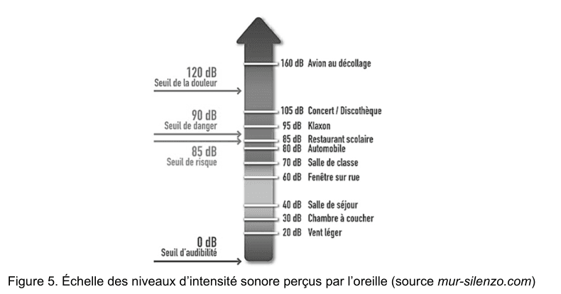 Figure 5 : échelle verticale des niveaux d'intensité sonore perçus par l'oreille, source mur-silenzo.com. De bas en haut : 0 dB seuil d'audibilité, 20 dB vent léger, 30 dB chambre à coucher, 40 dB salle de séjour, 60 dB fenêtre sur rue, 70 dB salle de classe, 80 dB automobile, 85 dB restaurant scolaire et seuil de risque, 90 dB seuil de danger, 95 dB klaxon, 105 dB concert ou discothèque, 120 dB seuil de la douleur, 160 dB avion au décollage.