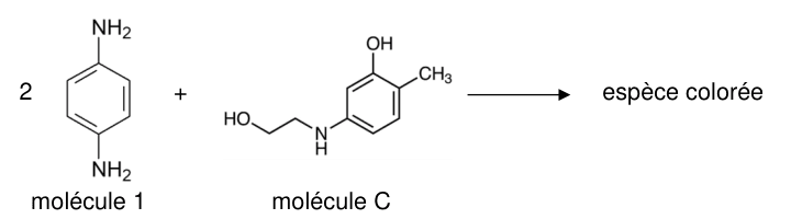 Équation simplifiée de la réaction : deux fois la molécule 1 (cycle benzénique portant deux groupes NH₂ opposés) plus la molécule C (cycle benzénique portant un groupe OH, un groupe CH₃ et une chaîne HO−CH₂−CH₂−NH− fixée sur le cycle), donnant une espèce colorée.