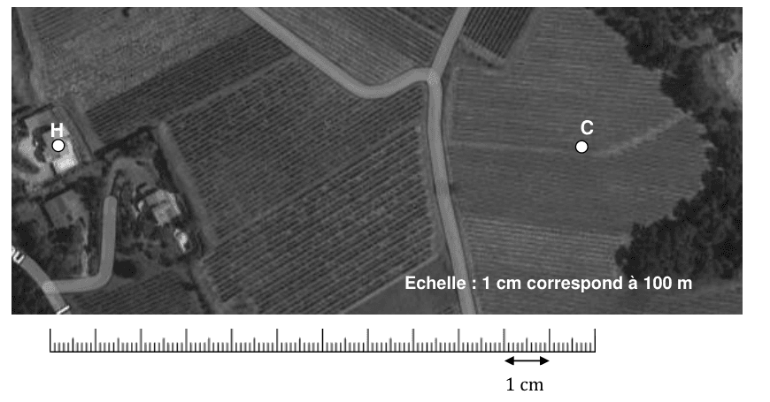 Vue aérienne de parcelles de vigne traversées par des chemins. Le point H, à gauche, marque une habitation entourée de bâtiments ; le point C, à droite, marque la position du canon anti-grêle au milieu des rangs. La mention « Echelle : 1 cm correspond à 100 m » figure en bas de la photographie, et une règle graduée est reproduite en dessous, avec un segment repéré « 1 cm ».