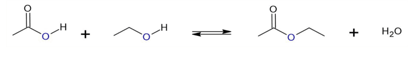 Équation d'estérification en formules topologiques : à gauche l'acide éthanoïque, dont le carbone porte un O par double liaison et un groupe O–H, additionné de l'éthanol terminé par O–H ; une double flèche d'équilibre mène à l'éthanoate d'éthyle et à H2O.