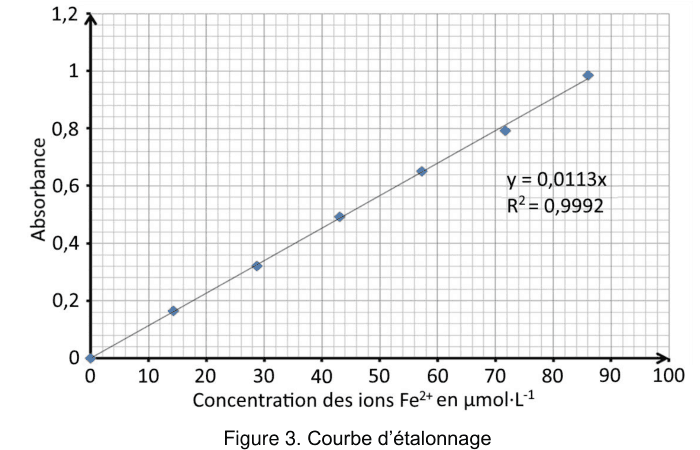 Figure 3 : courbe d'étalonnage. En ordonnée l'absorbance, graduée de 0 à 1,2 ; en abscisse la concentration des ions Fe²⁺ en µmol·L⁻¹, graduée de 0 à 100. Sept points de mesure sont alignés le long d'une droite passant par l'origine, dont l'équation portée sur le graphique est y = 0,0113x avec R² = 0,9992.