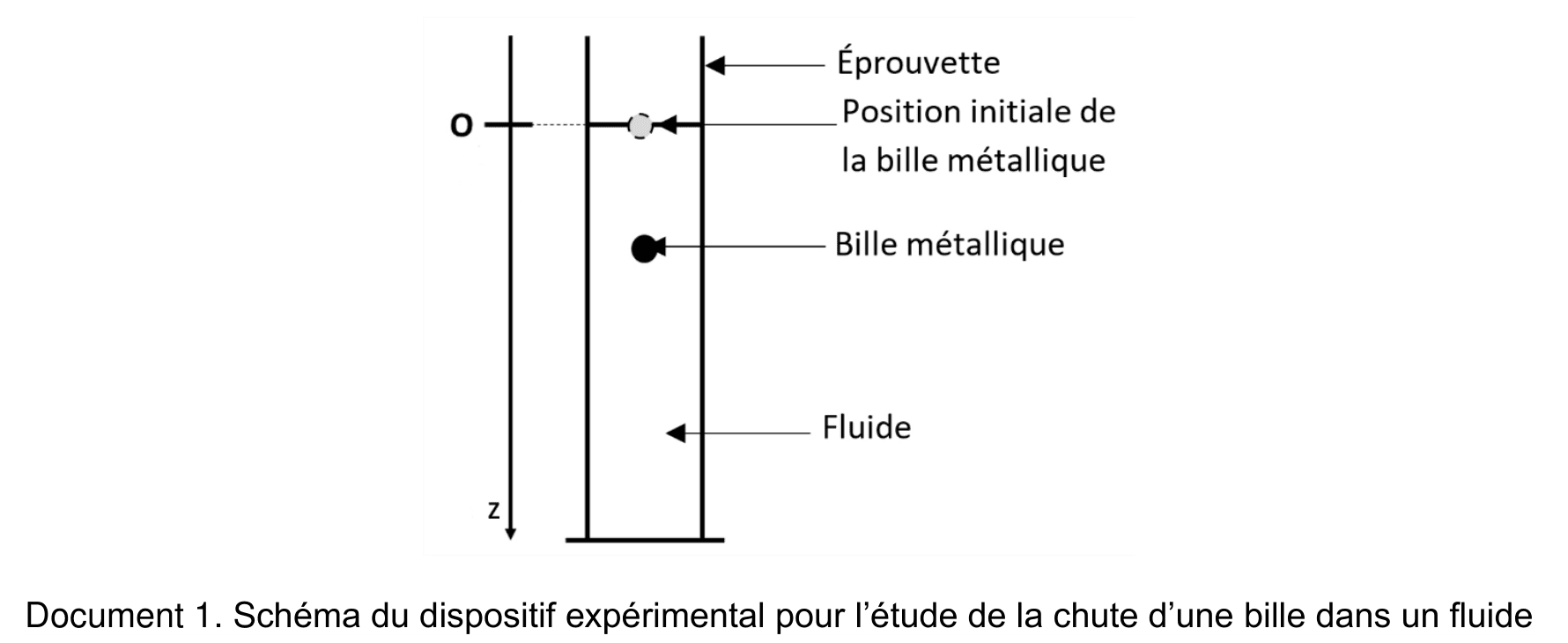 Schéma d'une éprouvette verticale contenant un fluide. Un axe vertical Oz est orienté vers le bas, l'origine O coïncidant avec la position initiale de la bille métallique, dessinée en clair. Plus bas sur l'axe, la bille métallique est dessinée en noir. Les légendes repèrent l'éprouvette, la position initiale de la bille, la bille et le fluide.