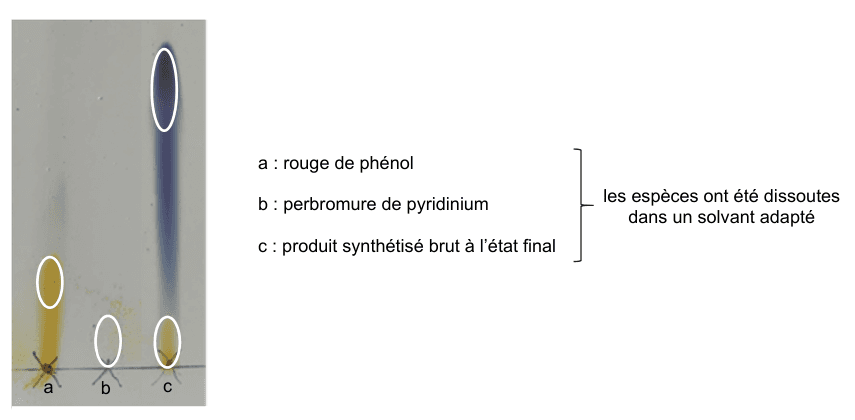 Photographie de la plaque de chromatographie sur couche mince obtenue. Trois dépôts sont alignés en bas de la plaque et notés a, b et c ; les taches révélées, entourées au crayon, apparaissent à différentes hauteurs et de différentes couleurs. Une légende précise : a rouge de phénol, b perbromure de pyridinium, c produit synthétisé brut à l'état final ; les espèces ont été dissoutes dans un solvant adapté.