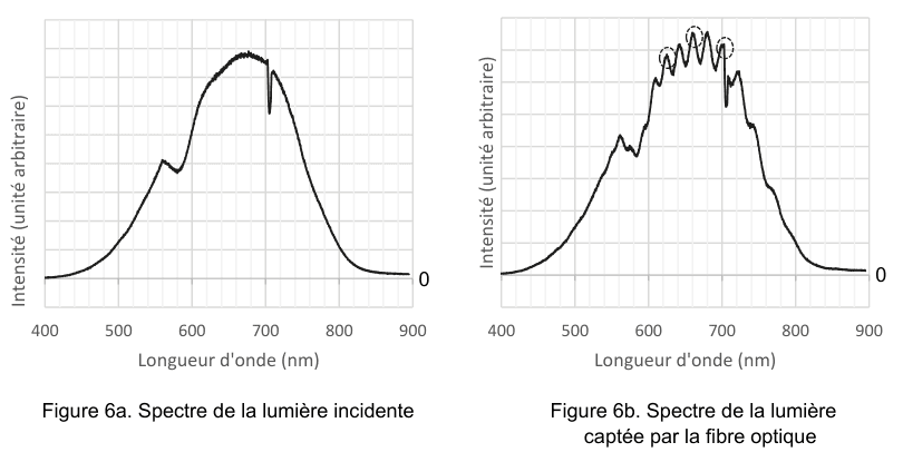 Deux spectres côte à côte, en intensité (unité arbitraire) en fonction de la longueur d'onde en nanomètres de 400 à 900. À gauche, figure 6a, spectre de la lumière incidente : une large bosse régulière. À droite, figure 6b, spectre de la lumière captée par la fibre optique : la même enveloppe, mais hachée d'une succession de maxima et de minima rapprochés, dont certains sont entourés en pointillés.