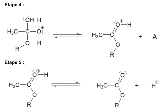 Étapes 4 et 5 du mécanisme réactionnel. Étape 4 : l'intermédiaire se scinde en une espèce chargée positivement et une espèce notée A. Étape 5 : cette espèce libère un proton H plus et donne l'ester. Chaque étape est écrite avec une double flèche d'équilibre.