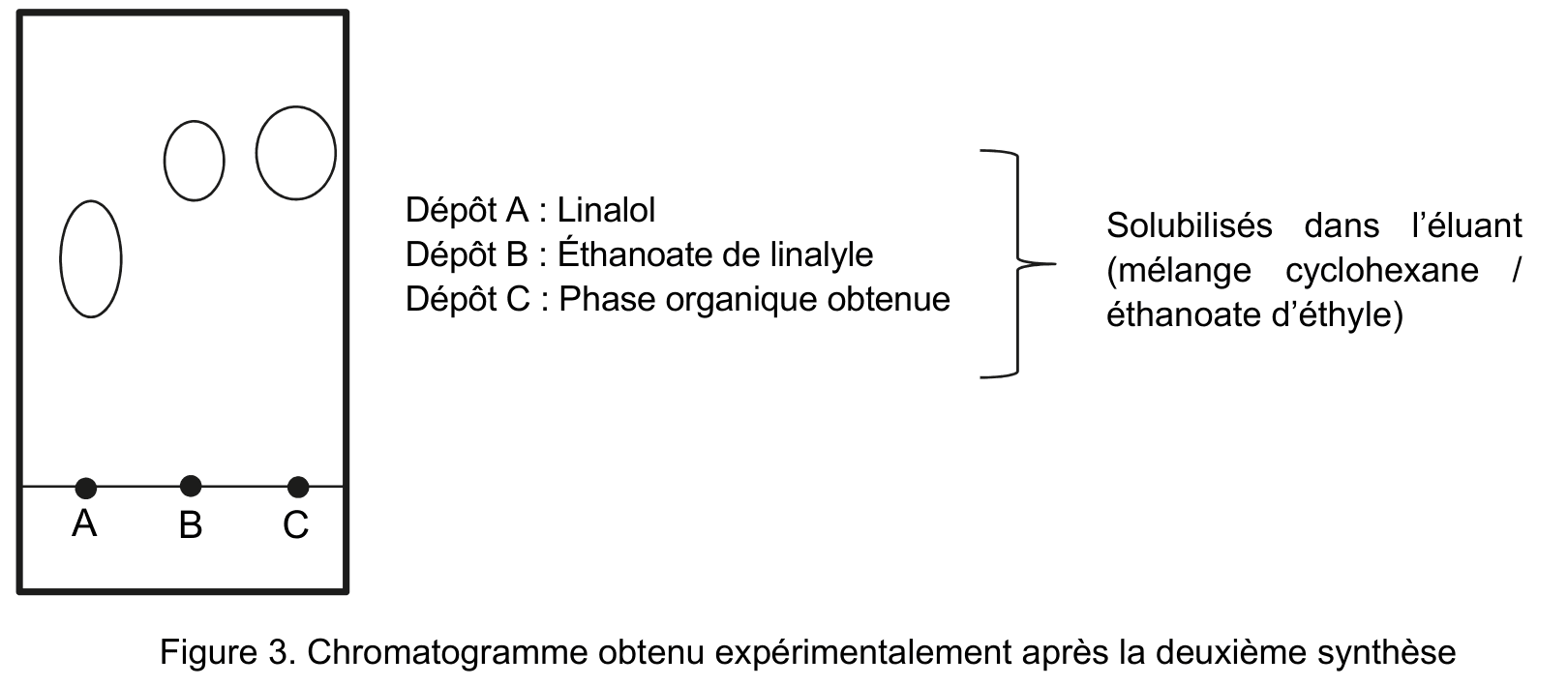 Reproduction d'une seconde plaque de chromatographie sur couche mince, obtenue après la synthèse avec APTS. Trois dépôts alignés sur la ligne de base sont notés A, B et C, avec la même légende que la figure précédente. Des taches ovales sont réparties au-dessus de la ligne de base.