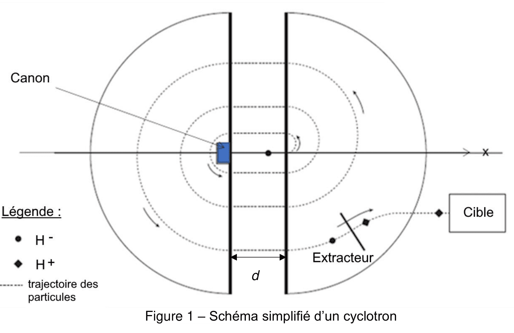 Schéma vu de dessus : un grand disque partagé en deux demi-cylindres séparés par un intervalle de largeur d. Un canon injecte les particules au centre ; une trajectoire en spirale de rayons croissants, figurée en pointillés, s'enroule dans les deux demi-cylindres. Un extracteur est placé en bas à droite, et une flèche mène à une boîte légendée cible. Une légende distingue les ions H moins et H plus.