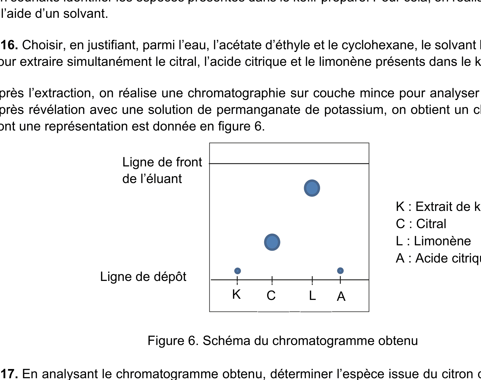 Figure 6 : chromatogramme : dépôts K (extrait), C (citral), L (limonène), A (acide citrique) ; la tache de K est à la même hauteur que A