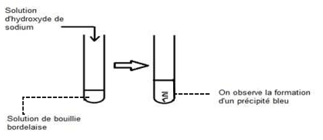 Schéma de l'expérience : on verse une solution d'hydroxyde de sodium dans un tube à essai contenant de la solution de bouillie bordelaise ; une flèche mène au tube après réaction, légendé « on observe la formation d'un précipité bleu ».