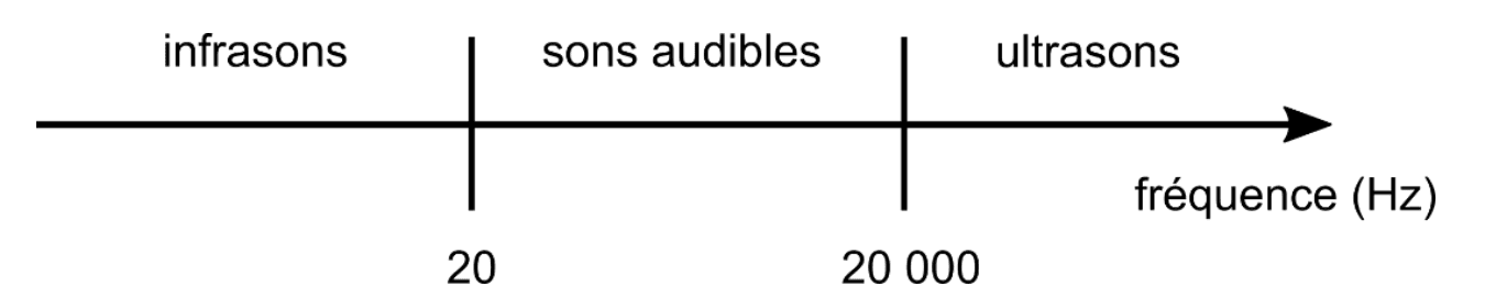 Axe des fréquences en hertz partagé en trois domaines par deux repères, à 20 et à 20 000 : infrasons à gauche, sons audibles au milieu, ultrasons à droite.