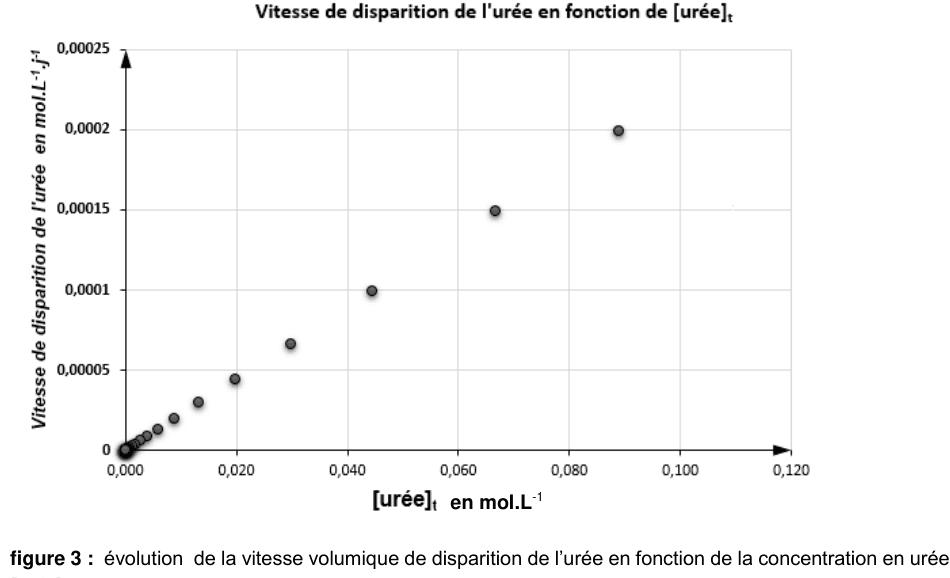 Figure 3 : évolution de la vitesse volumique de disparition de l'urée en fonction de la concentration en urée. En ordonnée, la vitesse en mol·L⁻¹·j⁻¹ de 0 à 0,00025 ; en abscisse, la concentration en mol·L⁻¹ de 0 à 0,120. Les points forment un nuage régulier partant de l'origine.