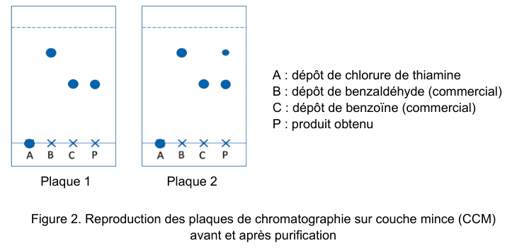 Figure 2 : reproduction des deux plaques de chromatographie sur couche mince, repérées plaque 1 et plaque 2, obtenues avant et après purification. Sur chaque plaque, la ligne de dépôt porte quatre dépôts notés A, B, C et P, et la ligne de front de l'éluant est tracée en pointillés en haut. Les taches révélées sont figurées par des disques. Une légende précise : A dépôt de chlorure de thiamine, B dépôt de benzaldéhyde commercial, C dépôt de benzoïne commerciale, P produit obtenu.
