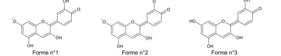Les trois formes de la cyanidine, représentées côte à côte par leurs formules topologiques et légendées forme n°1, forme n°2 et forme n°3. Elles ont le même squelette carboné et ne diffèrent que par leurs groupes hydroxyle OH et phénolate O⁻.