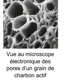 Vue au microscope électronique des pores d'un grain de charbon actif : une structure en nid d'abeilles, percée de cavités arrondies de tailles variées.