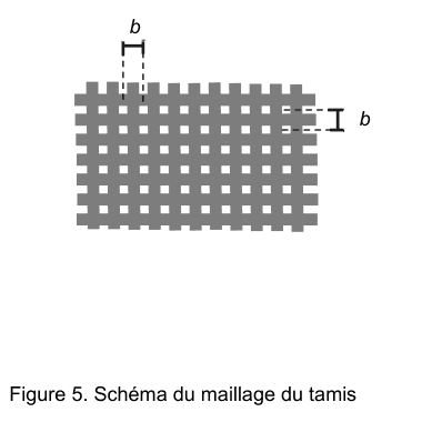 Figure 5 : schéma du maillage du tamis : une grille régulière de fils croisés délimitant des trous carrés. Deux doubles flèches cotées b indiquent la distance entre les centres de deux trous consécutifs, horizontalement et verticalement.