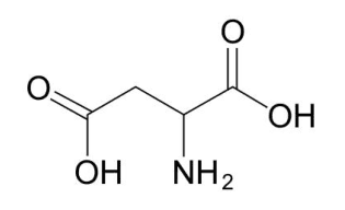 Formule topologique de l'acide aspartique : une courte chaîne carbonée portant deux groupes acide carboxylique, l'un à chaque extrémité, et un groupe amine NH2 sur le carbone central.