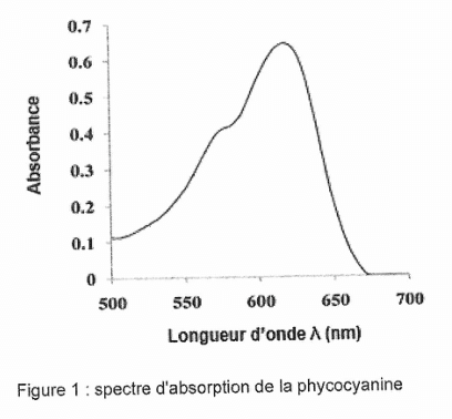 Figure 1, spectre d'absorption de la phycocyanine. En ordonnée l'absorbance, graduée de 0 à 0,7 ; en abscisse la longueur d'onde en nanomètres, de 500 à 700. La courbe part d'environ 0,1, monte en formant un épaulement puis un maximum marqué, avant de redescendre et de s'annuler avant 700 nm.