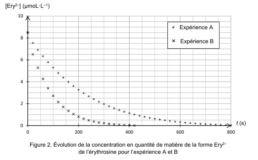 Figure 2. Deux séries de points décroissantes de la concentration en Ery deux moins, en micromole par litre, en fonction du temps. Une légende distingue l'expérience A, marquée par des croix droites, de l'expérience B, marquée par des croix obliques.