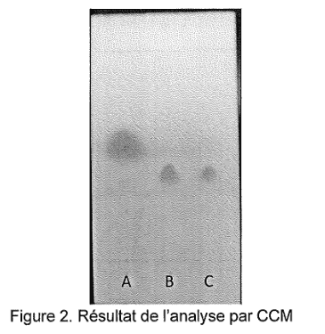 Figure 2 : photographie de la plaque de chromatographie sur couche mince obtenue. Trois dépôts sont alignés en bas de la plaque et notés A, B et C ; les taches révélées apparaissent sous forme de zones sombres, à des hauteurs et avec des intensités différentes.