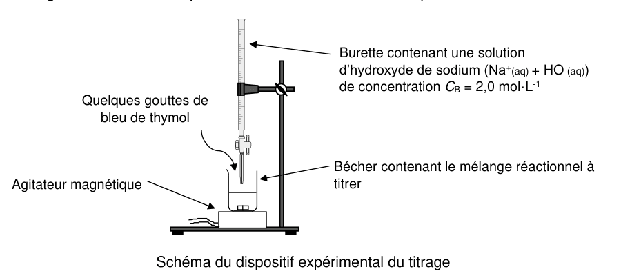 Schéma du dispositif expérimental du titrage. Une burette fixée sur une potence surplombe un bécher posé sur un agitateur magnétique. Quatre légendes fléchées désignent la burette contenant une solution d'hydroxyde de sodium de concentration C indice B égale 2,0 mol par litre, les quelques gouttes de bleu de thymol versées dans le bécher, le bécher contenant le mélange réactionnel à titrer, et l'agitateur magnétique.