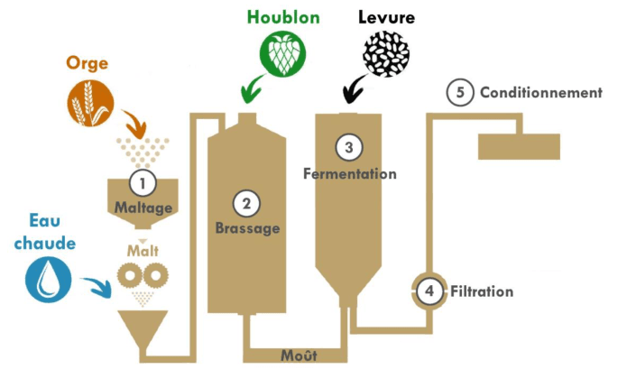 Schéma simplifié de la fabrication de la bière. L'orge et l'eau chaude alimentent une première cuve numérotée 1 et légendée maltage, qui produit du malt ; le malt passe dans une cuve numérotée 2 légendée brassage, d'où sort le moût ; le houblon et la levure sont ajoutés dans une cuve numérotée 3 légendée fermentation ; suivent une étape numérotée 4 légendée filtration et une étape numérotée 5 légendée conditionnement.