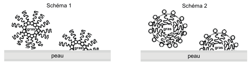 Deux schémas comparés, notés Schéma 1 et Schéma 2, montrant chacun des amas de molécules de savon posés sur une bande grise légendée peau, et entourant une gouttelette marquée gras. Dans le schéma 1, les têtes ovales sont tournées vers l'intérieur des amas et les queues ondulées vers l'extérieur. Dans le schéma 2, c'est l'inverse : les queues ondulées pointent vers l'intérieur et les têtes ovales vers l'extérieur.
