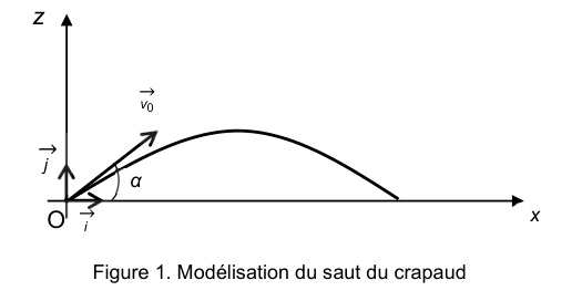 Figure 1. Schéma dans le repère (O, x, z) : une trajectoire en arc part de l'origine O, monte puis retombe sur l'axe horizontal. Le vecteur vitesse initiale v0 est tracé à l'origine, faisant un angle alpha avec l'axe Ox.