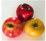 Photographie de trois pommes posées sur fond blanc : une rouge foncé, une rouge et jaune, une jaune.