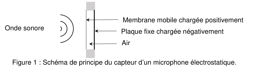 Figure 1 : schéma de principe du capteur d'un microphone électrostatique, vu de côté. À gauche, des arcs de cercle concentriques figurent une onde sonore qui se propage vers la droite. À droite, deux traits verticaux parallèles et très rapprochés sont désignés par des flèches : le premier est la membrane mobile chargée positivement, le second la plaque fixe chargée négativement ; l'espace qui les sépare est légendé « Air ».
