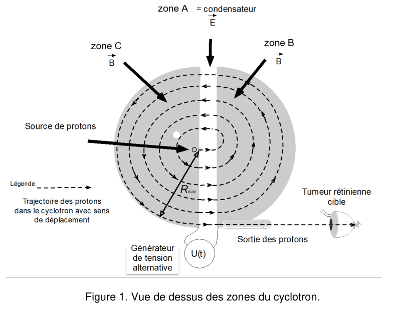 Figure 1 : vue de dessus du cyclotron. Un disque gris est partagé en deux demi-disques, la zone C à gauche et la zone B à droite, séparés par une bande verticale étroite, la zone A, assimilée à un condensateur où règne le champ E dirigé vers le bas. Dans chaque demi-disque règne un champ B. Une source de protons injecte les particules au point O, au centre. Une trajectoire en spirale, tracée en pointillés avec des flèches, s'élargit tour après tour jusqu'au rayon R max, puis sort par la droite vers un œil dont la tumeur rétinienne est la cible. Un générateur de tension alternative U(t) est relié aux deux demi-disques.