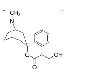 Formule topologique de l'atropine : un bicycle azoté portant un groupe méthyle sur l'azote, relié par un atome d'oxygène à un groupe ester, lui-même porteur d'un cycle benzénique et d'un groupe OH.