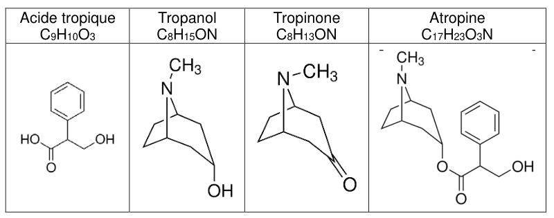 Tableau à quatre colonnes donnant, pour l'acide tropique, le tropanol, la tropinone et l'atropine, la formule brute et la formule topologique de chaque molécule.