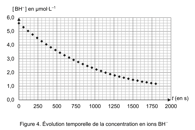Évolution temporelle de la concentration en ions BH-
