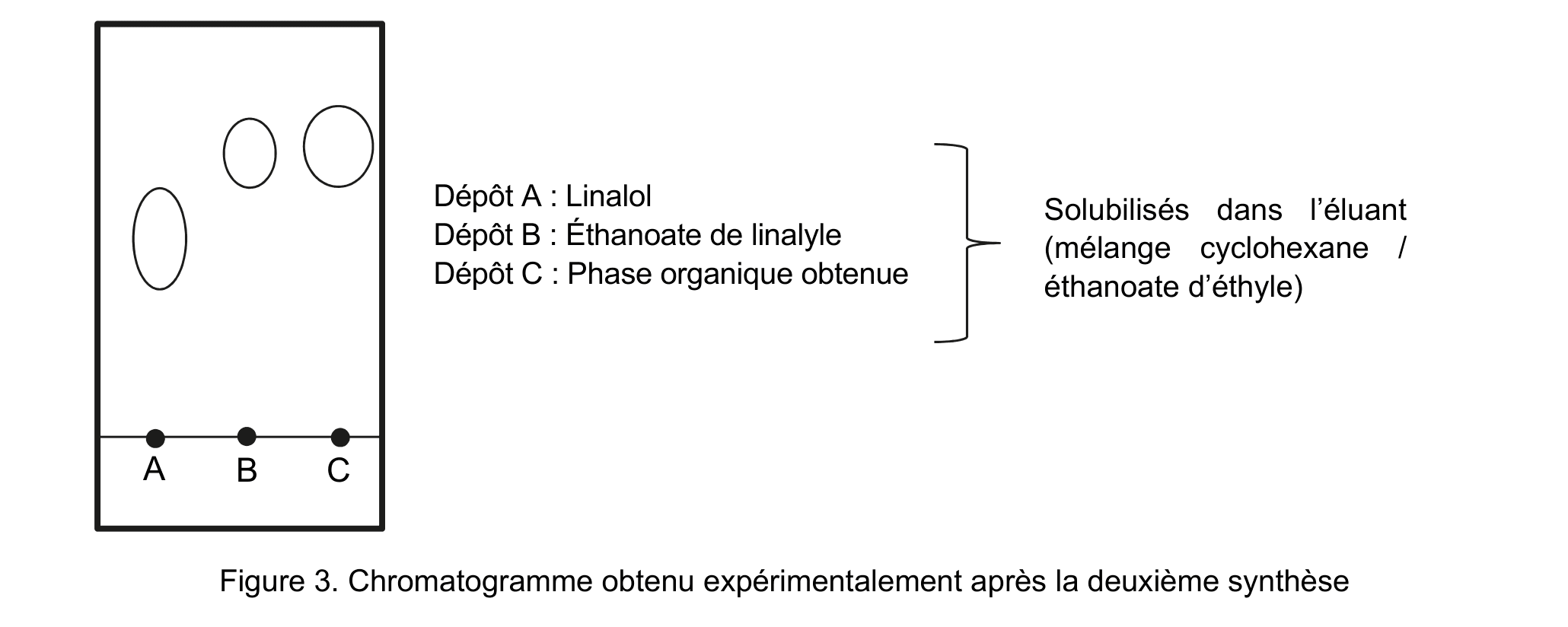 Figure 3 : chromatogramme obtenu après la deuxième synthèse, avec catalyseur APTS. Trois dépôts sont alignés sur la ligne de dépôt et notés A (linalol), B (éthanoate de linalyle) et C (phase organique) ; les taches révélées apparaissent à différentes hauteurs.