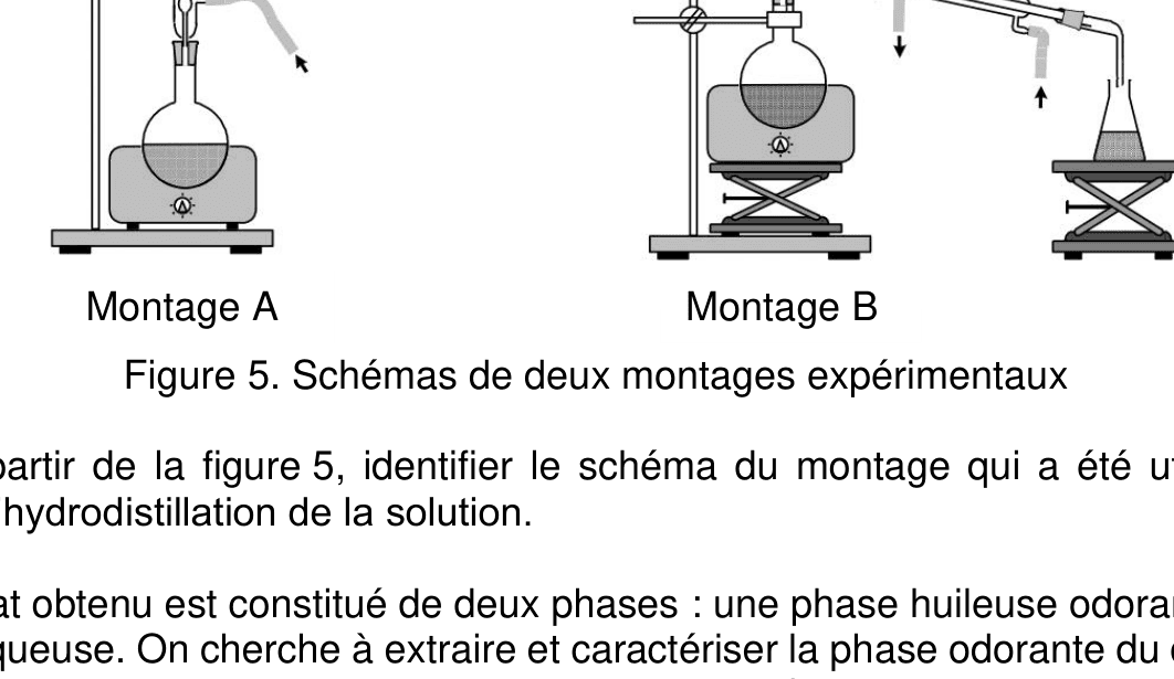 Deux montages : le montage A (ballon chauffé surmonté d'une colonne verticale) et le montage B (ballon chauffé relié à un réfrigérant incliné qui mène à un erlenmeyer collecteur).